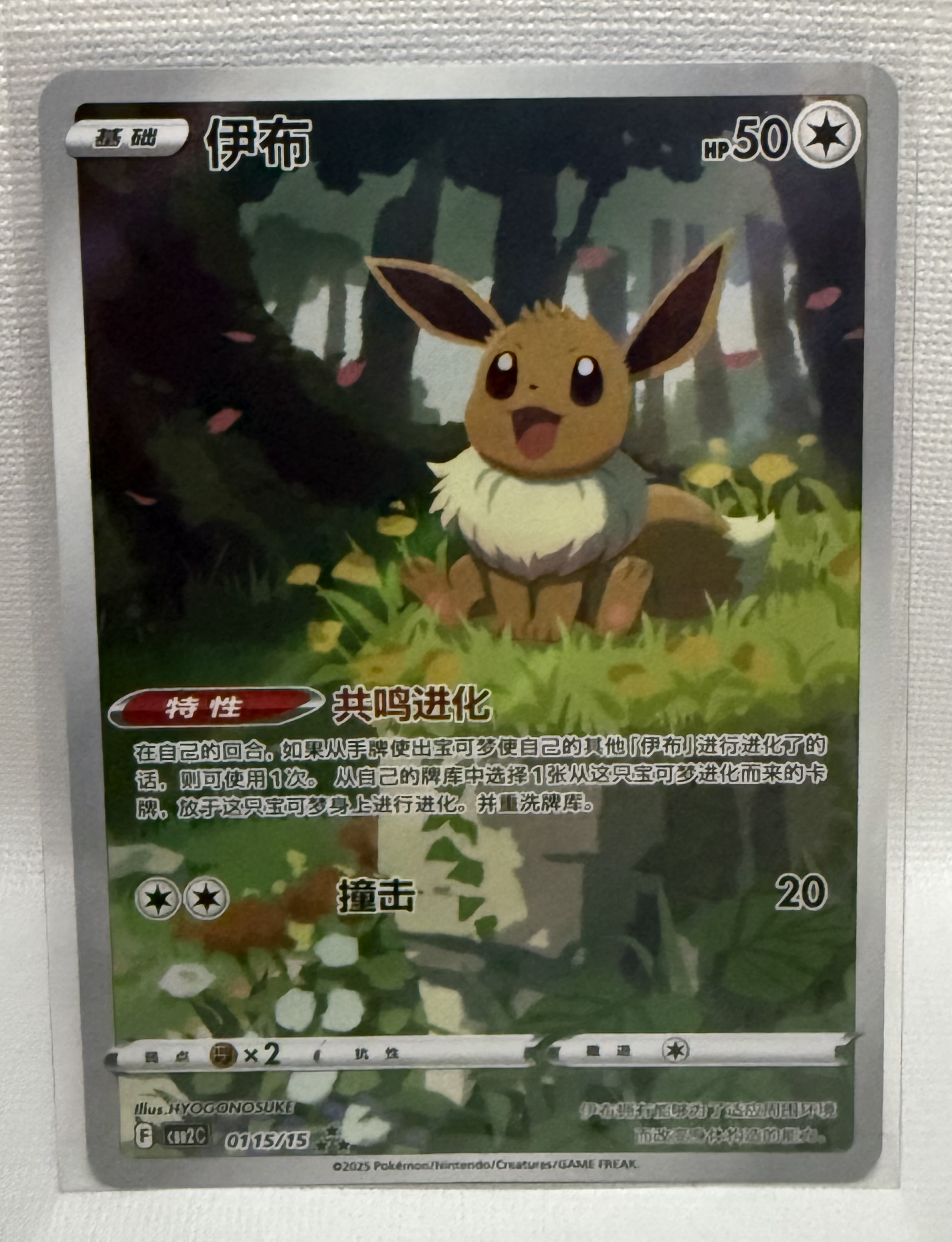 Eevee 0115/15 NM Raw