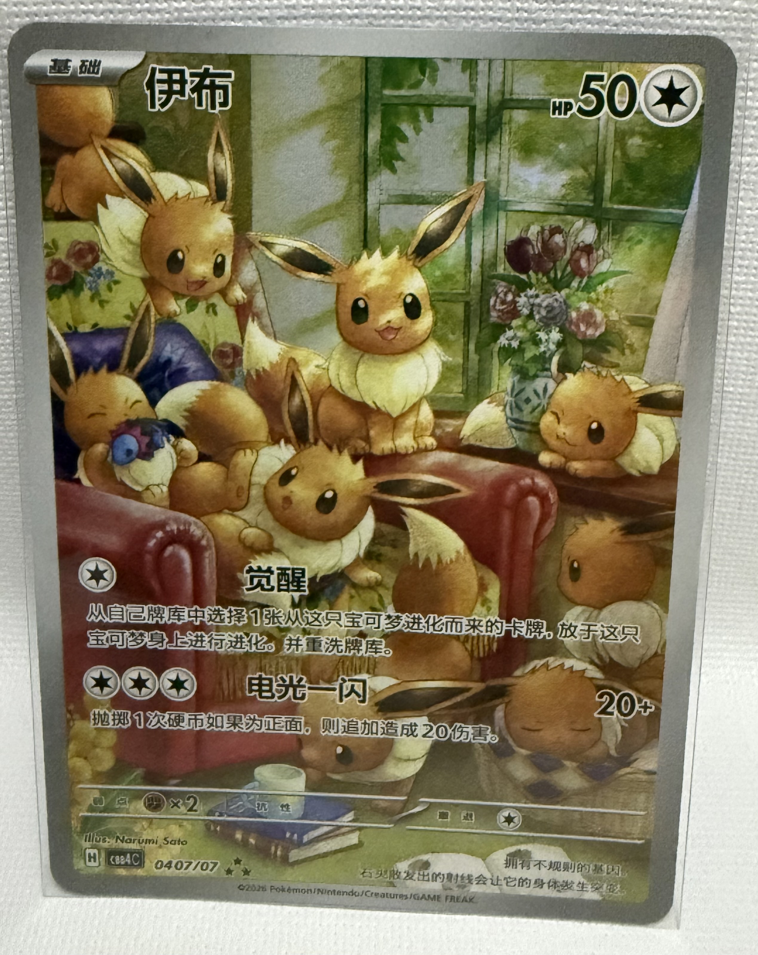 Eevee 0407/07 NM Raw